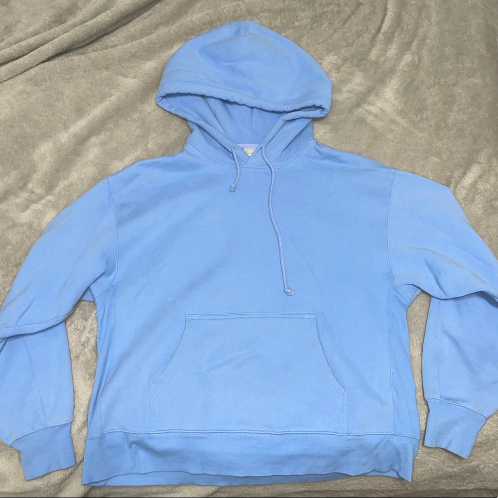 Aritzia Hoodie